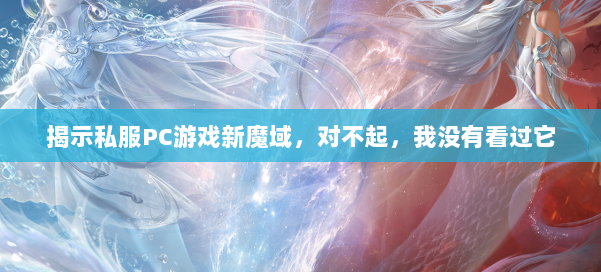揭示私服PC游戏新魔域，对不起，我没有看过它