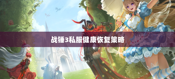 战锤3私服健康恢复策略 第3张 战锤3私服健康恢复策略 第3张