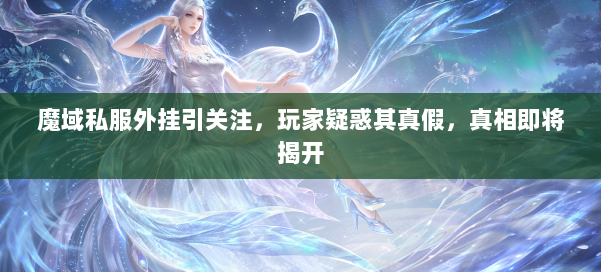 魔域私服外挂引关注，玩家疑惑其真假，真相即将揭开 第2张